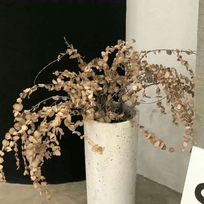 临县福瑞交流群